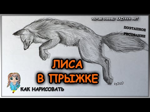 Видео: Как нарисовать лису в прыжке карандашом. Лиса прыгает на охоте. поэтапное рисование.