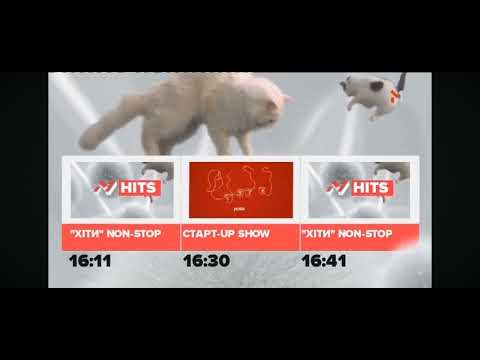 Видео: заставка котиків 💗