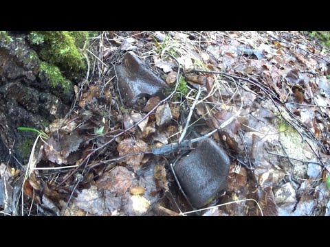 Видео: ЧТО МОЖНО НАЙТИ ЗА 2 ЧАСА ВДОЛЬ ПОЛЕЙ?!
