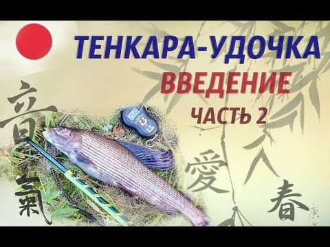 Видео: Удочка Тенкара Введение  Часть 2