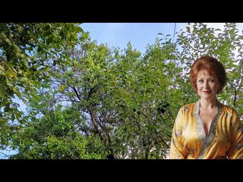 Видео: Георгий, я ведь старше тебя! Ну и что, вы мне очень нравитесь…