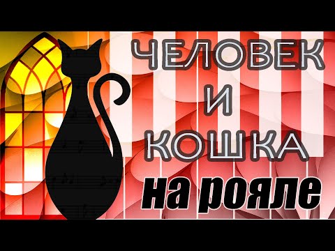 Видео: "Человек и Кошка." Кавер на Рояле.