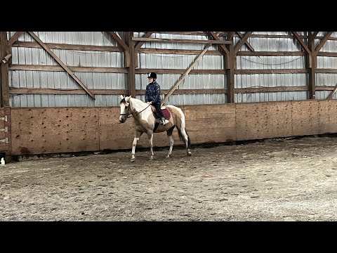 Видео: Моя тренировка конная в реальной жизни 🐎🐴❤️начала САМА ЕЗДИТЬ РЫСЬЮ