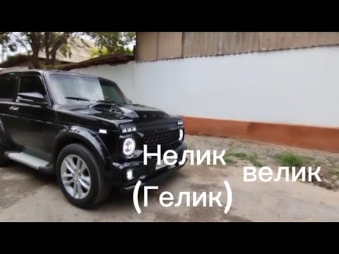 Видео: Нива-1980 стало Нелик-2024
