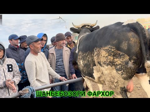 Видео: ШАНБЕБОЗОРИ ФАРХОР БУКАИ КАЛОН БИНЕД ЧИ ГАП ШУД ?  2 ноября 2024 г.