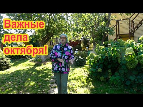 Видео: Что делать в саду в октябре?