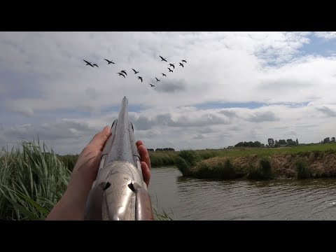Видео: Охота на гуся - 20 птиц