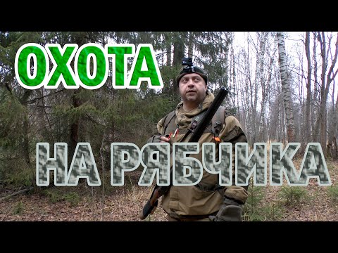 Видео: ОХОТА НА РЯБЧИКА В КОНЦЕ ОКТЯБРЯ В ЯРОСЛАВСКОЙ ОБЛАСТИ. ЛЕНИВЫЕ РЯБЫЕ И БОДРЫЕ ПЯТОЧКИ.