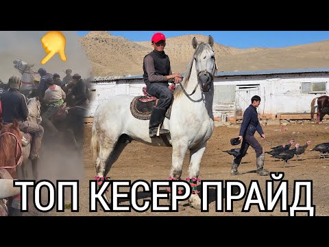 Видео: ПРАЙД ТОПТУ КЕСЕТ