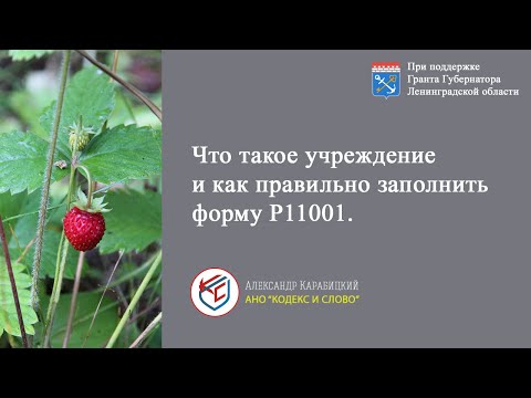 Видео: Выпуск 4. Учреждение