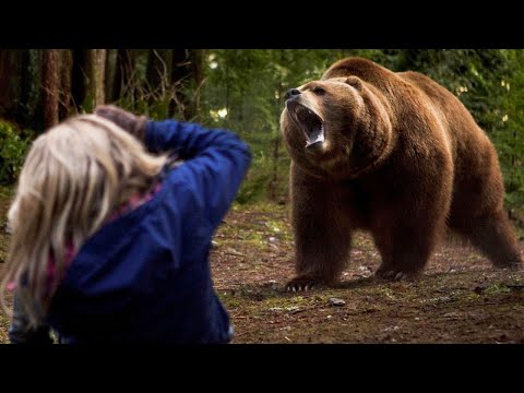 Видео: Девушка, РИСКУЯ собой, ХОТЕЛА спасти старого медведя от охотников