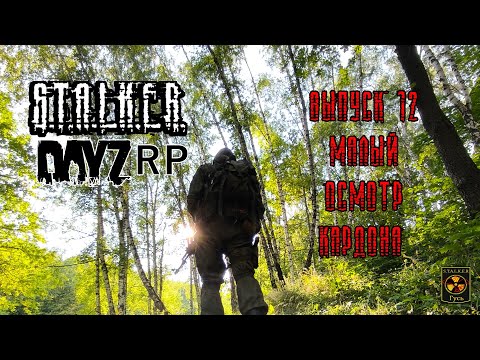 Видео: S.T.A.L.K.E.R. DayZ RP. (Выпуск 12  Малый осмотр кордона)