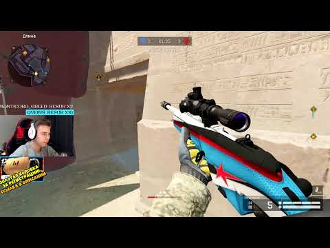 Видео: Пиарюсь за счет Монтера,Монти и Буги