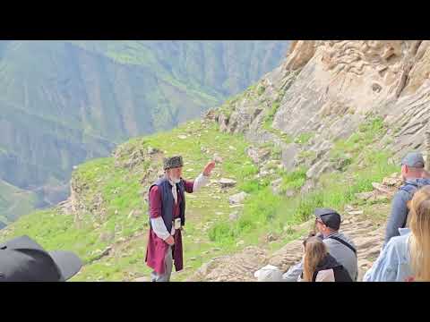 Видео: На горе язык троля