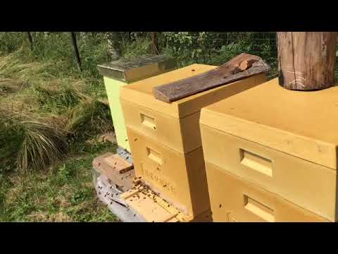 Видео: Улей из ппу . Отливаю корпус.