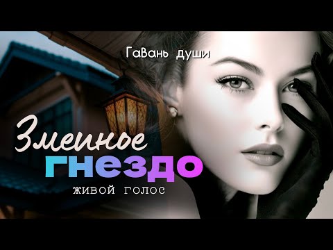 Видео: Последний свидетель должен молчать…