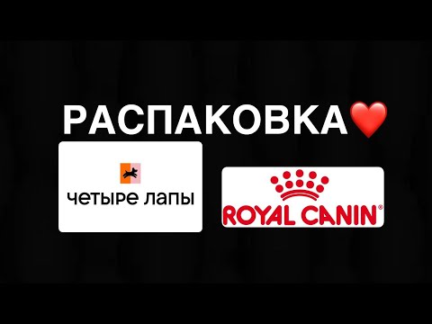 Видео: Распаковка товаров для моего кота. Лайк / Подписка 