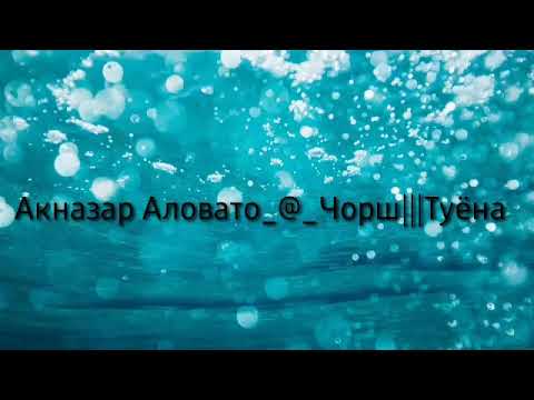 Видео: Акназар Аловатов_@_Чорш///  ТУЁНА