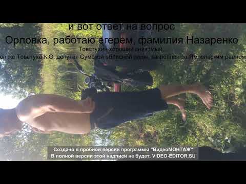 Видео: Браконьерство пгт Ямполь( Сумская область)