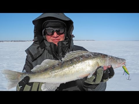 Видео: В поисках мартовского судака. Горьковское море