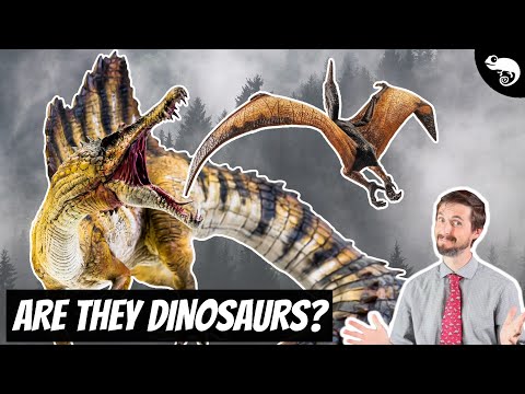Видео: 5 популярных динозавров, которые на самом деле не динозавры