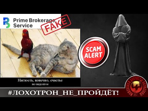 Видео: Мошенники назвались Станиславу компанией "Прайм Брокерский Сервис" и оказались дешёвой подделкой.