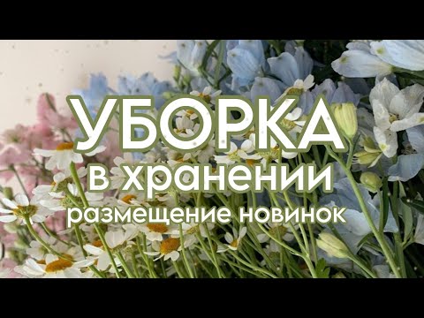 Видео: ✨УБОРКА В ХРАНЕНИИ/НОВИНКИ💗
