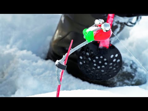 Видео: Оставили КОМБАЙНЫ на ночь и офигели! СУПЕР РЫБАЛКА! БЕШЕНЫЙ КЛЁВ!