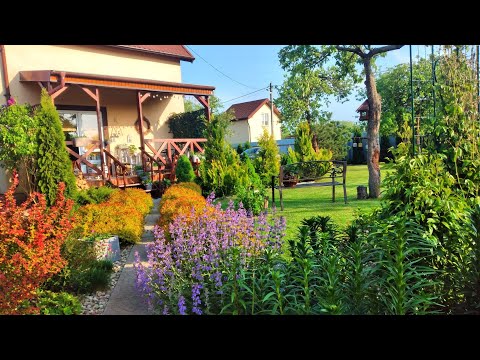 Видео: Мой Прованс без Лаванды. Чем заменить Лаванду в Саду. Краски Уходящего Мая #garden #сад #прованс