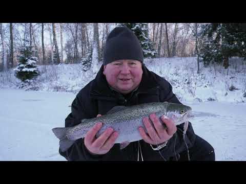 Видео: Рыбный стол   Зимняя ловля форели в усадьбе Солодово  Готовим форель в белом вине