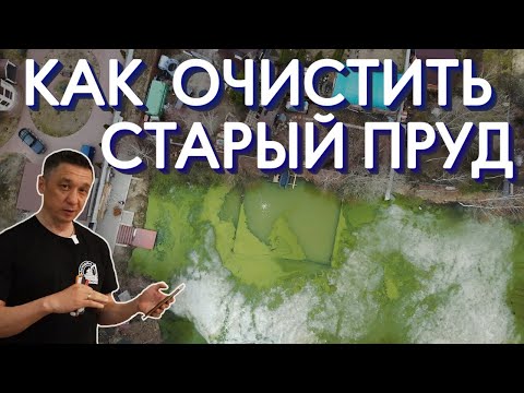 Видео: Спасем Водоём или  как очистить старый пруд? В пруду пол метра ила, как его очистить??