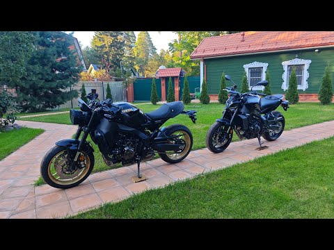 Видео: 3 сентября 2025 г.