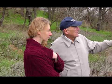 Видео: Kolybelnaya KateTC 02 ИК