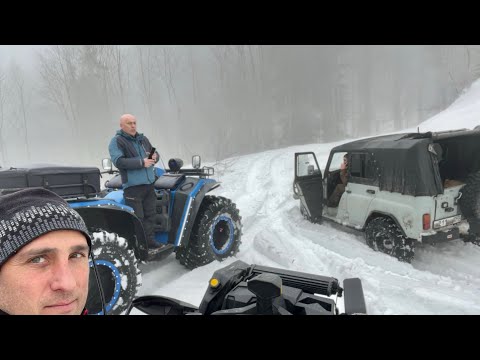 Видео: Гизла 04/03/2023