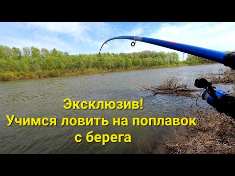 Видео: Супер метод ловли на поплавок с берега! Рыба клюёт такая, что удочка в дугу