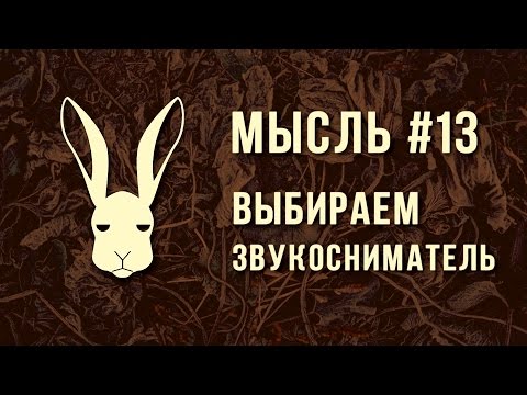 Видео: Мысль #13 - Выбираем Звукосниматель