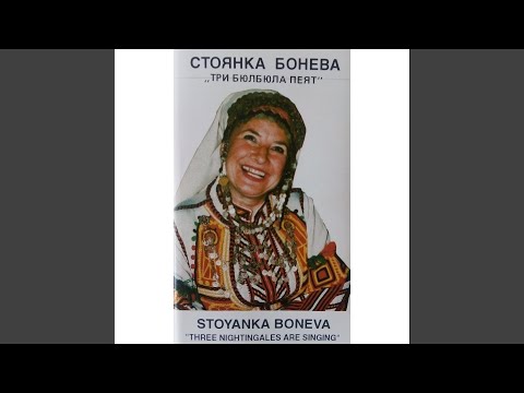 Видео: Ой, варай, варай