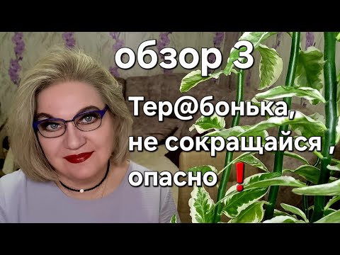 Видео: Тер@бонька, не сокращайся ,опасно❗️