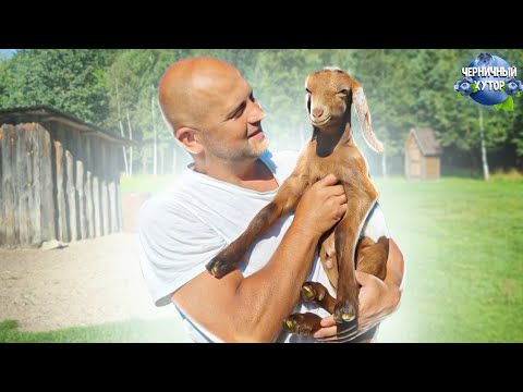 Видео: Дела за неделю накопились. Строим,закатываем,заготавливаем,ухаживаем,готовим. Из отдыха в заботы