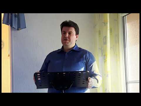 Видео: VAL-642 Строение из золота, серебра, драгоценных камней -Alexander Laufert / Александр Лауферт