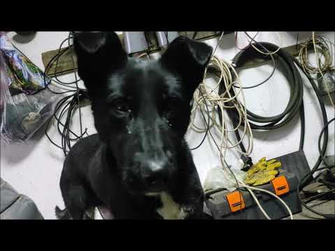 Видео: Замена вкладышей не снимая коленвал на примере ваз 2112