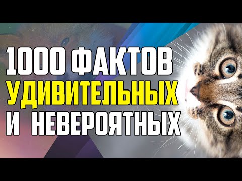 Видео: 1000 УДИВИТЕЛЬНЫХ И НЕВЕРОЯТНЫХ ФАКТОВ