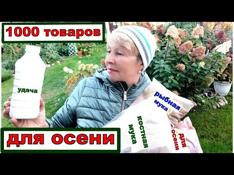 Видео: Не забудьте сделать эти дела осенью. Это обязательно нужно  для осеннего сада