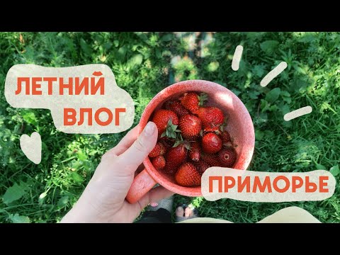 Видео: летний влог | отдыхаю в деревне в приморском крае