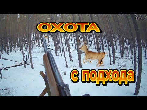 Видео: ОХОТА НА КОСУЛЮ С ПОДХОДА ВОССТАНОВЛЕННЫЕ КАДРЫ