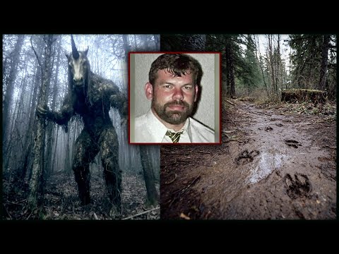 Видео: В Лесах Калифорнии Пропал Работник Геологической Станции. Найден Его Рюкзак и следы от Копыт...