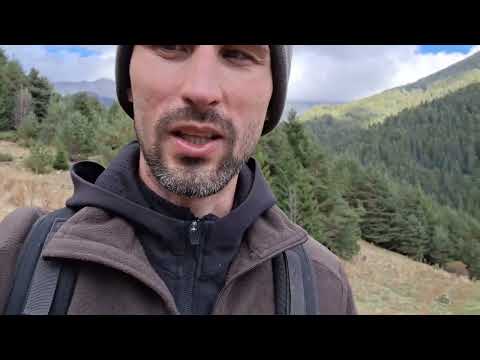 Видео: Ориентировка по местности, как выйти из леса?Болгария,Пирин. Часть 2