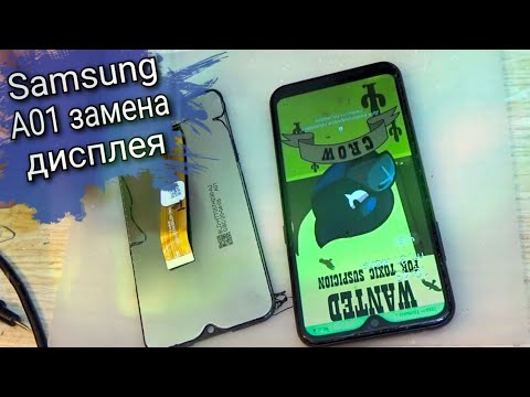 Видео: Samsung A01 ( A015F ) разборка, и замена дисплея !!!
