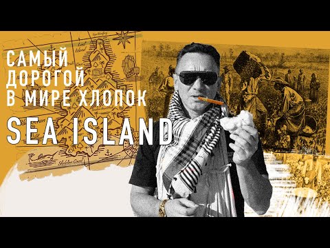 Видео: ХЛОПОК SEA ISLAND - САМЫЙ ДОРОГОЙ И САМЫЙ ЛУЧШИЙ