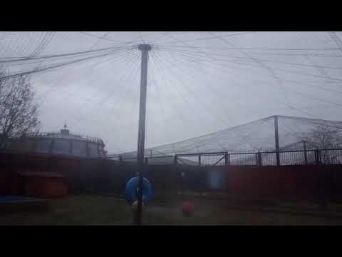 Видео: TIKR7627 Шархан 30 10 2025 Видео от Ивана